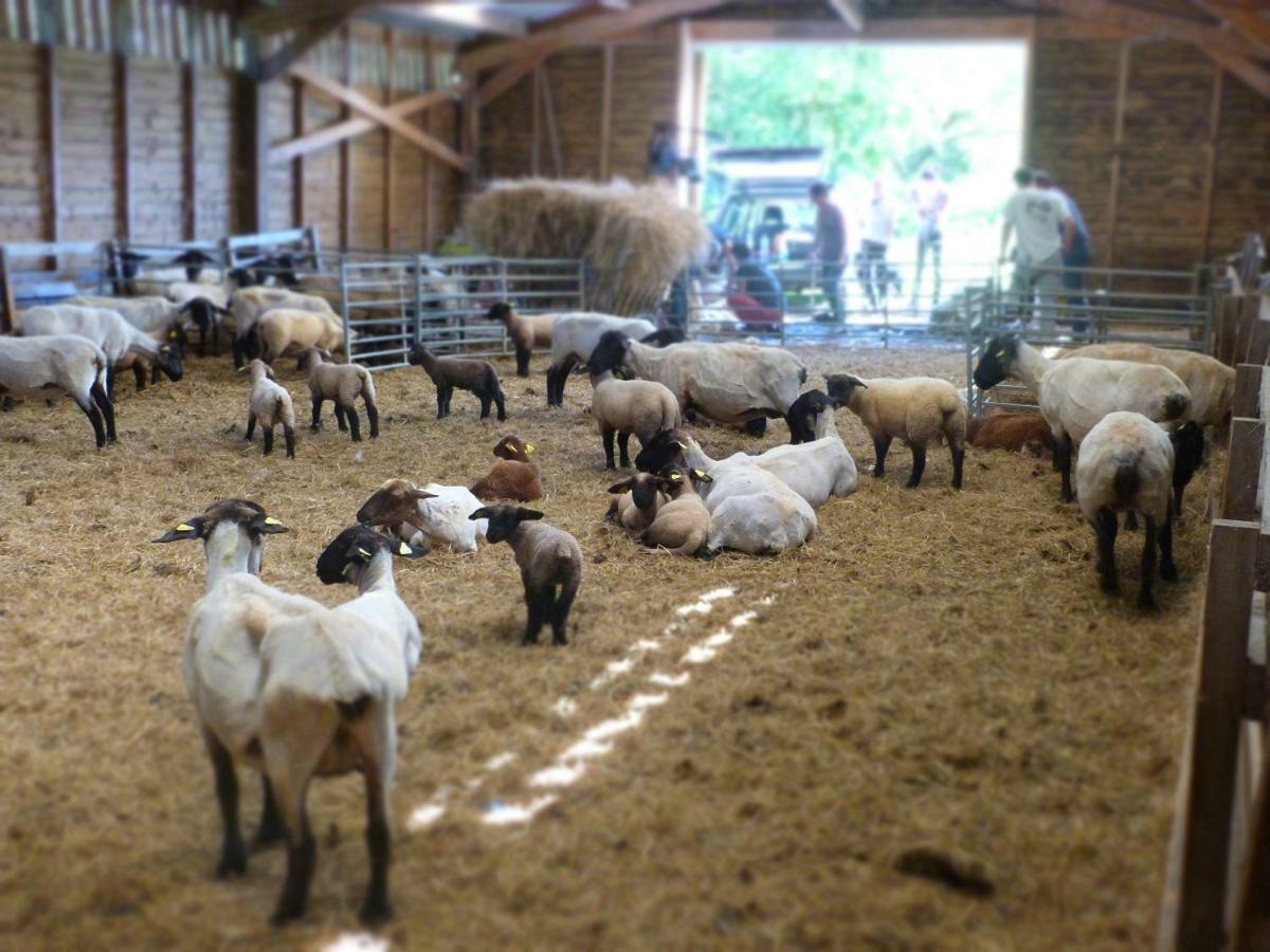 Bed and Breakfast La Ferme Du Vincin Ванн Экстерьер фото